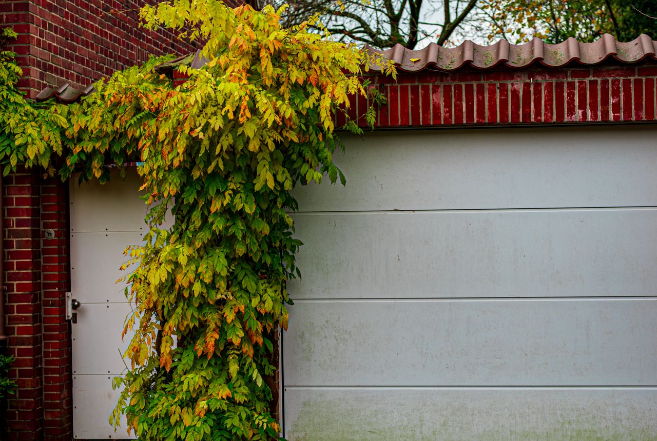 Garage door service in Omaha, NE